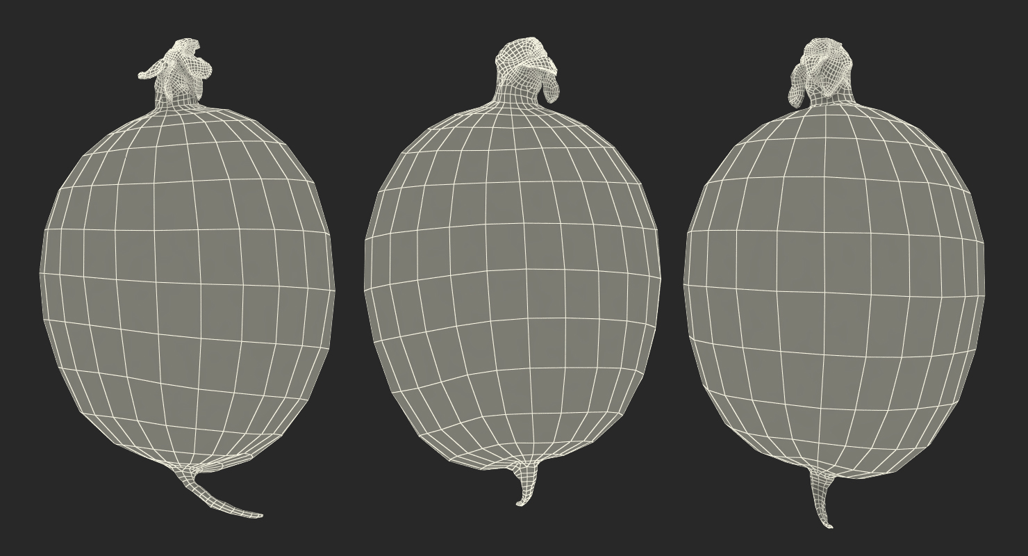 Red Gooseberry 3D model