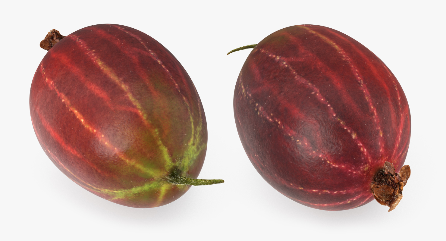 Red Gooseberry 3D model