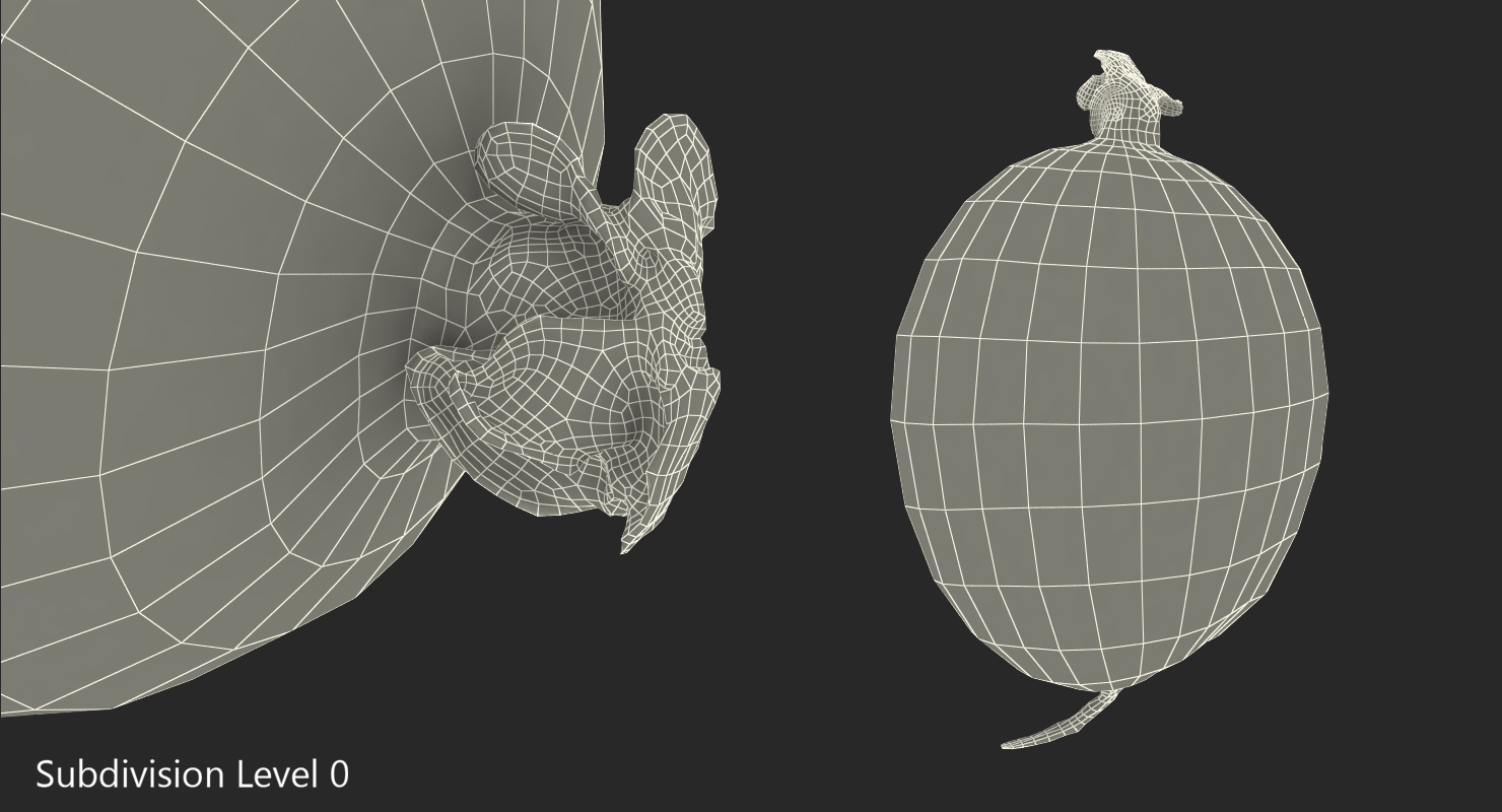 Red Gooseberry 3D model