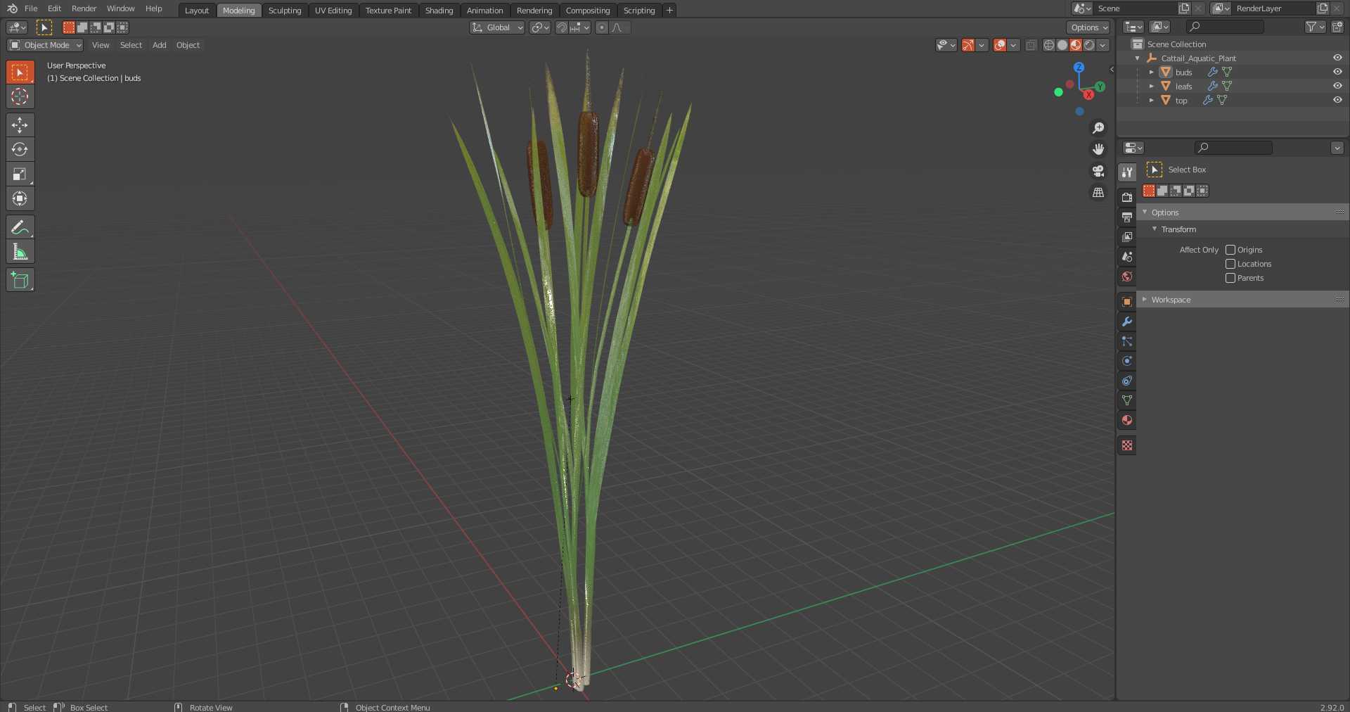 3D Cattail Aquatic Plant