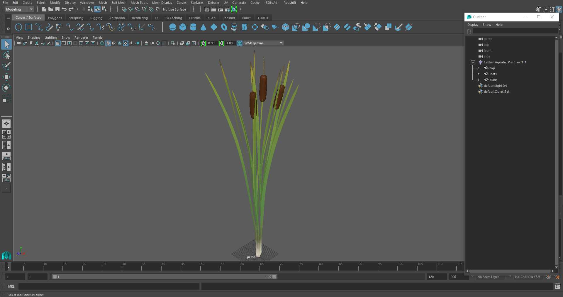 3D Cattail Aquatic Plant