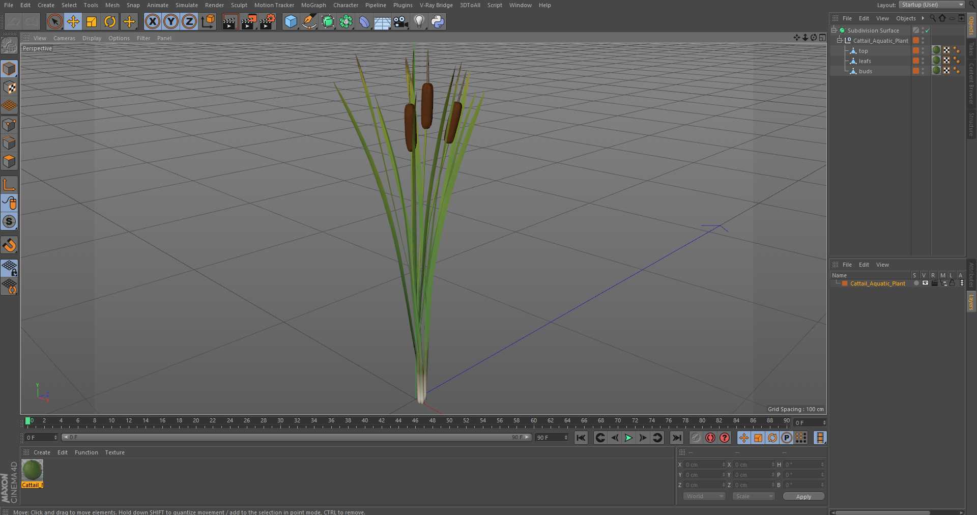 3D Cattail Aquatic Plant