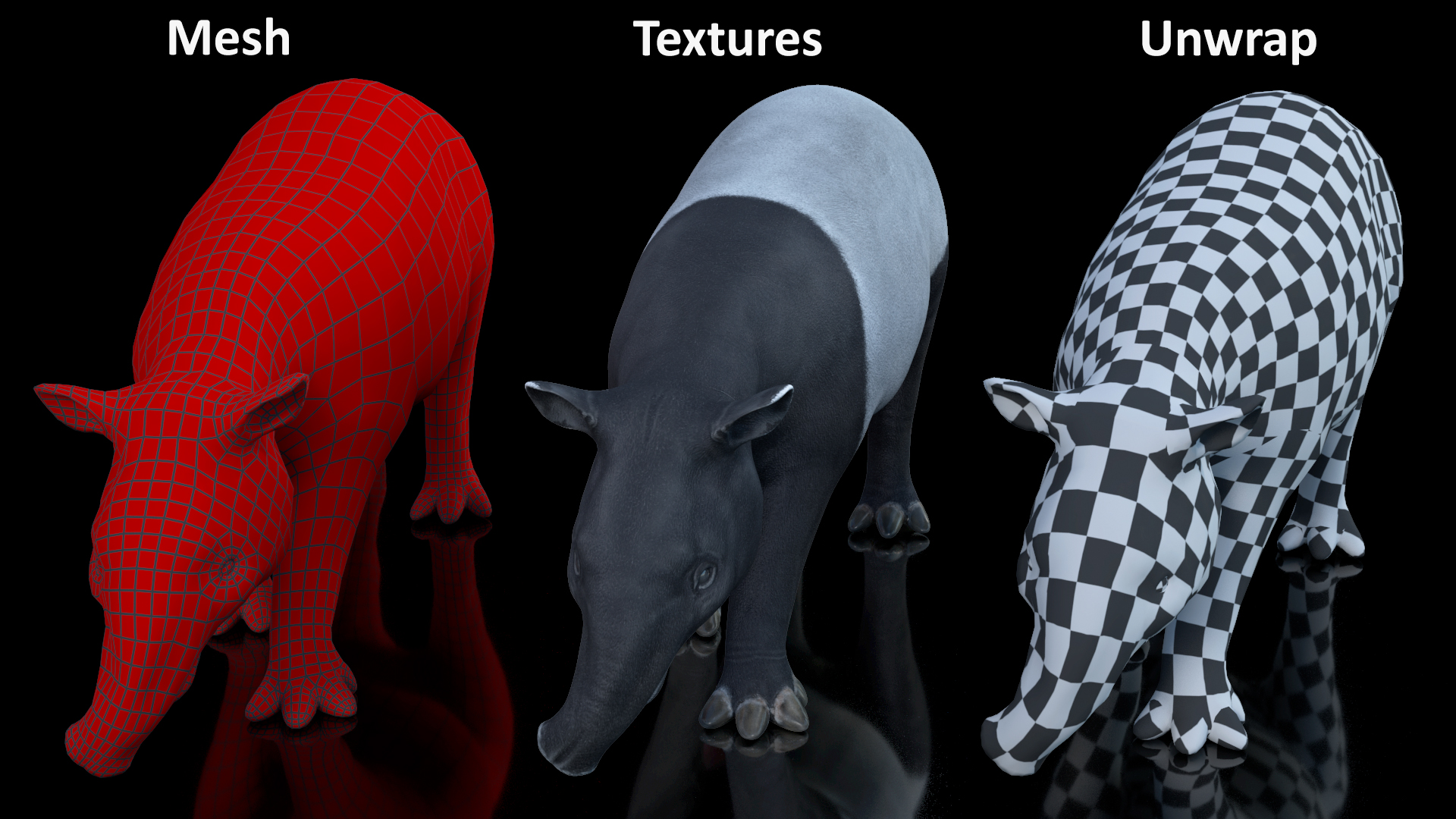 3D Tapir Walking Pose model