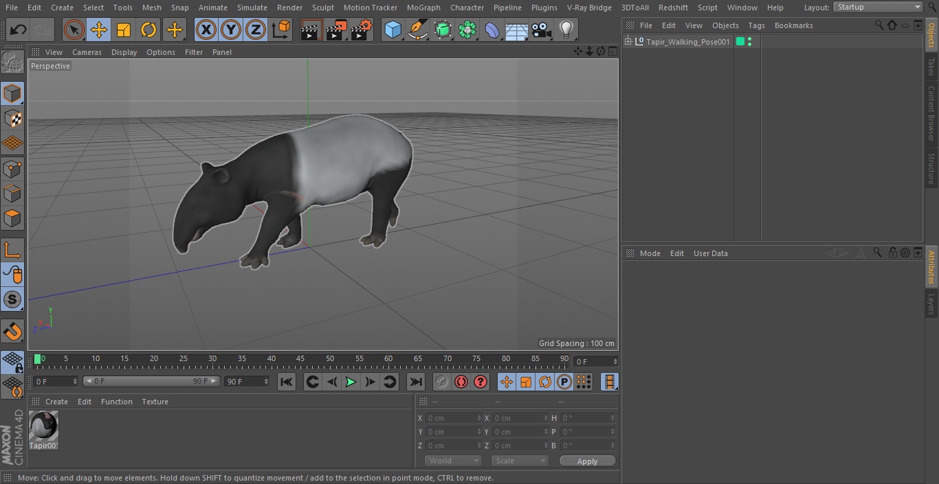 3D Tapir Walking Pose model