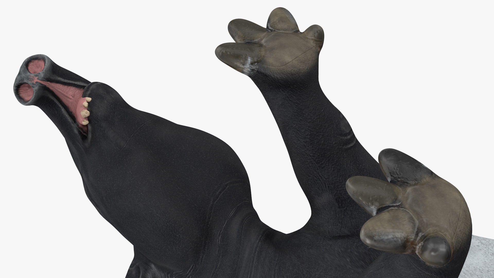 3D Tapir Walking Pose model