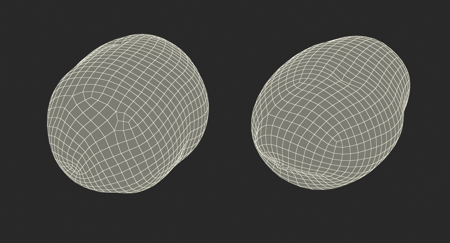 3D model Raw Potato