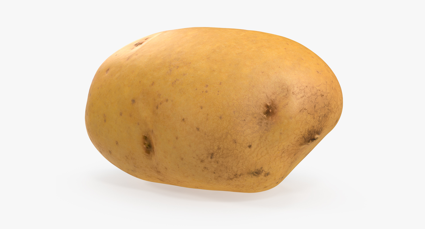 3D model Raw Potato