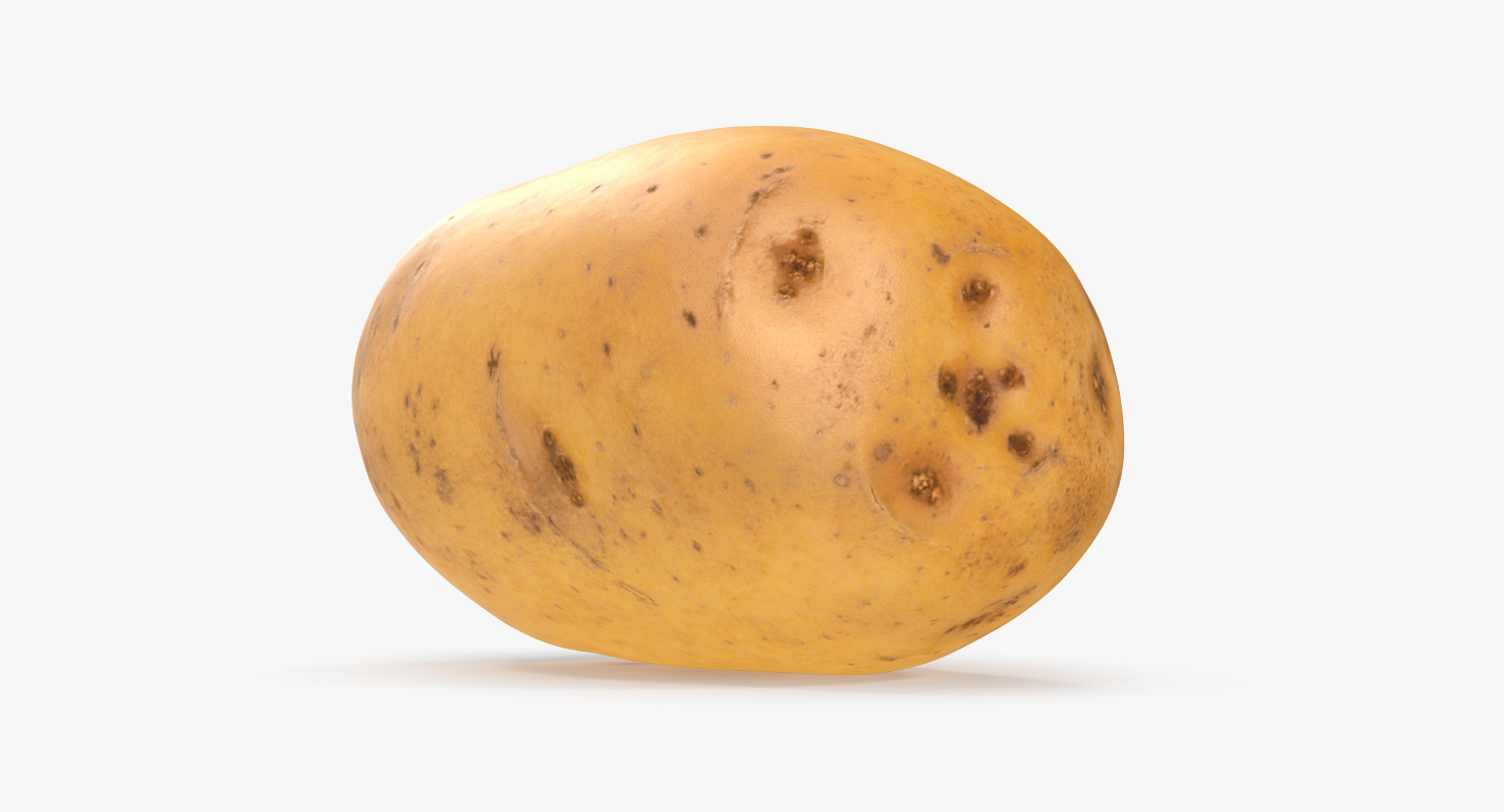 3D model Raw Potato