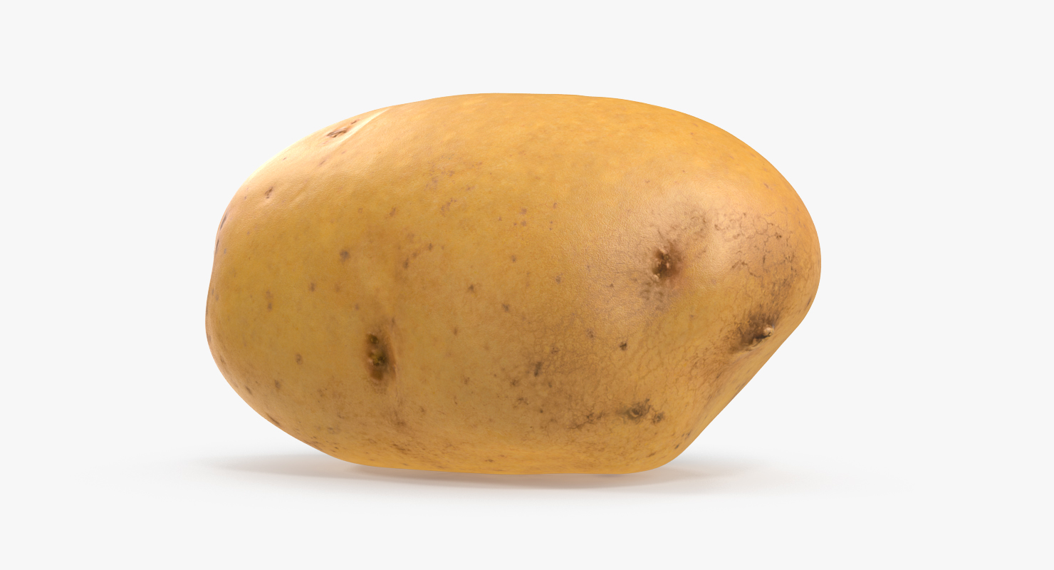 3D model Raw Potato