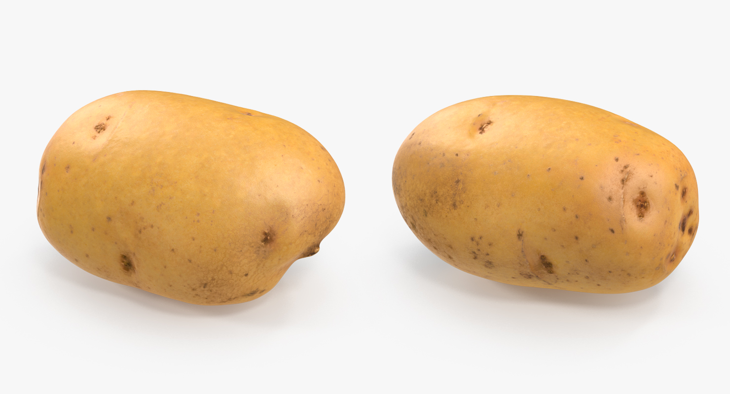 3D model Raw Potato