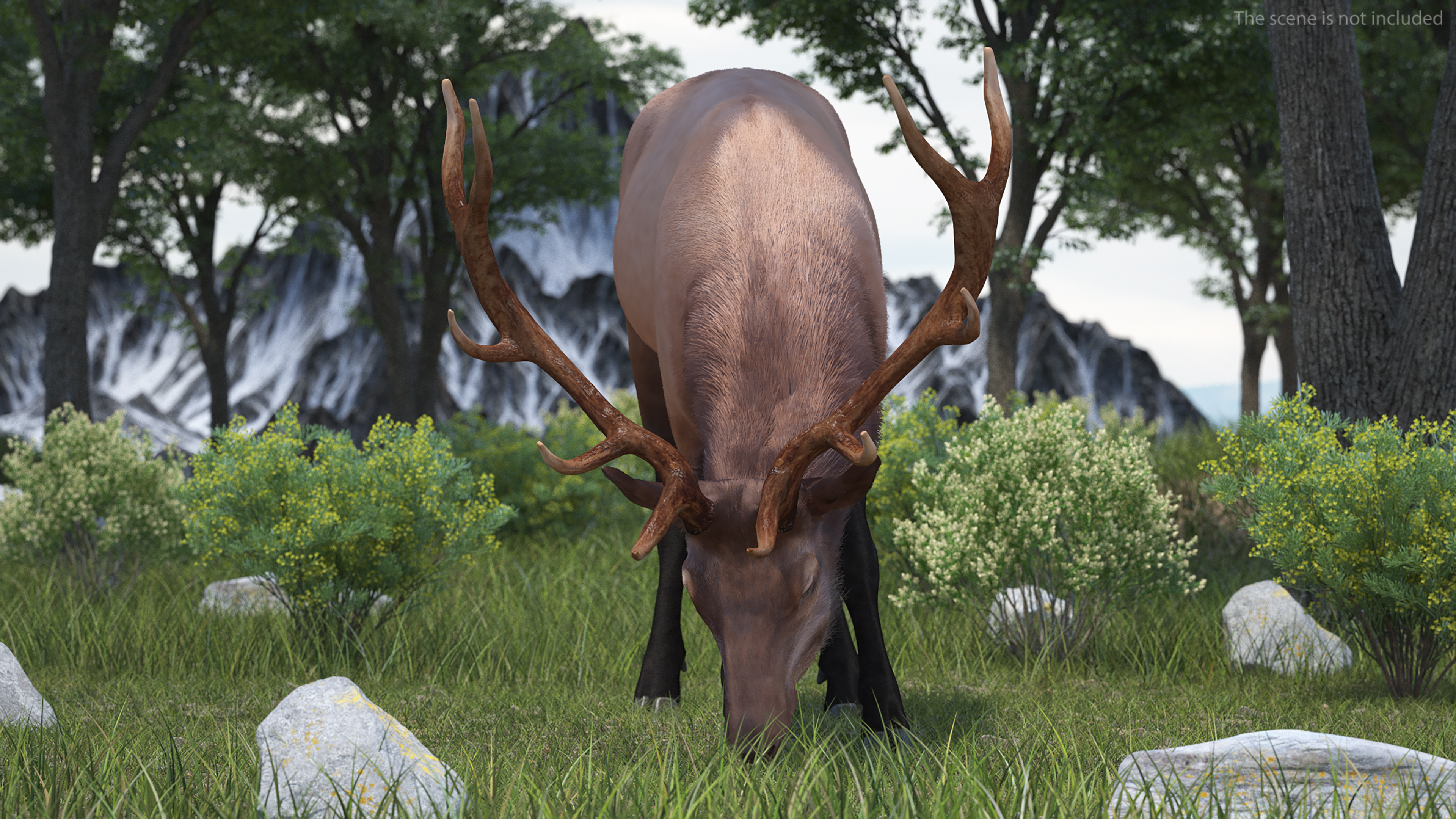 3D model Realistic Elk with Antlers Fur