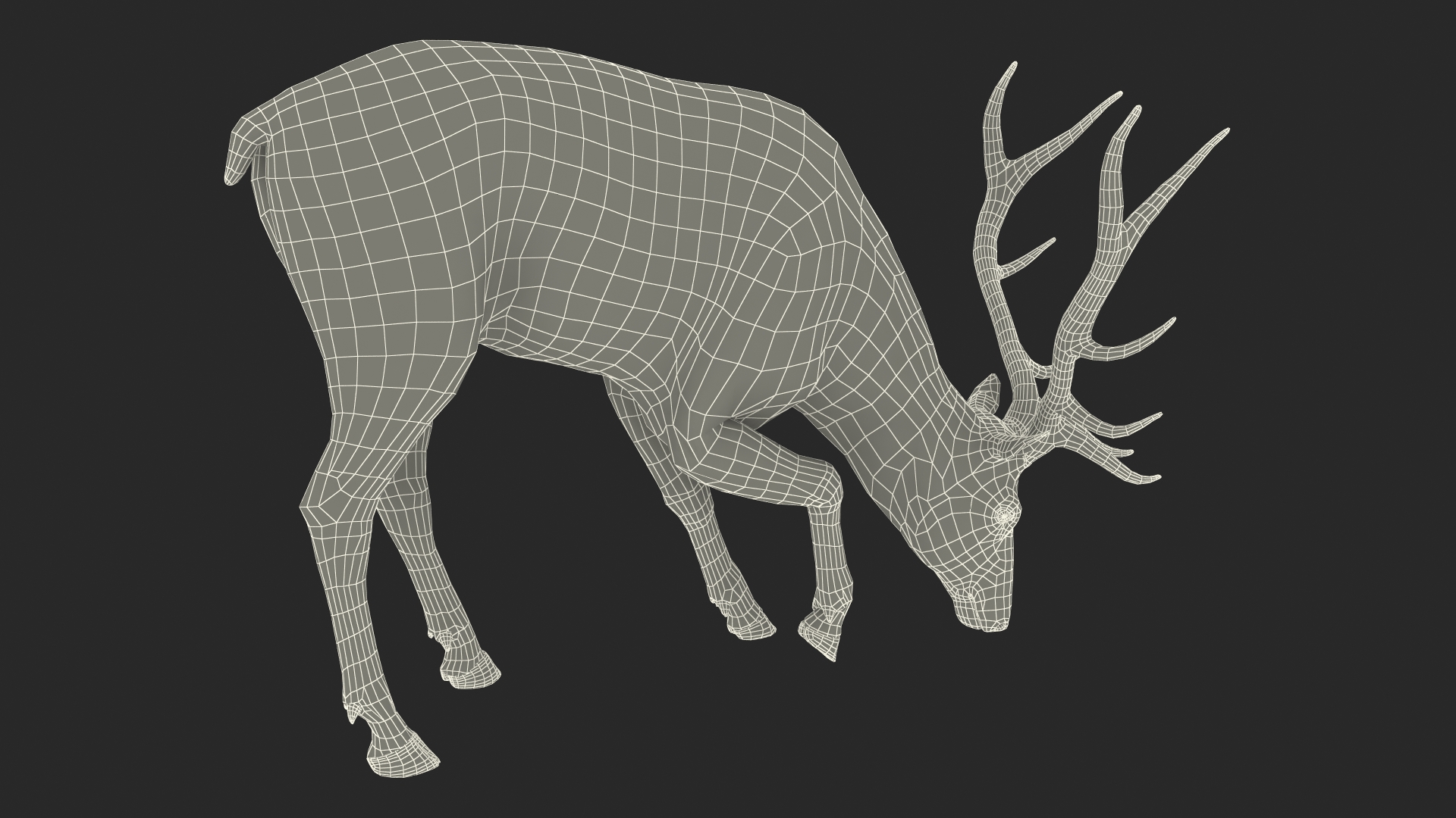 3D model Realistic Elk with Antlers Fur