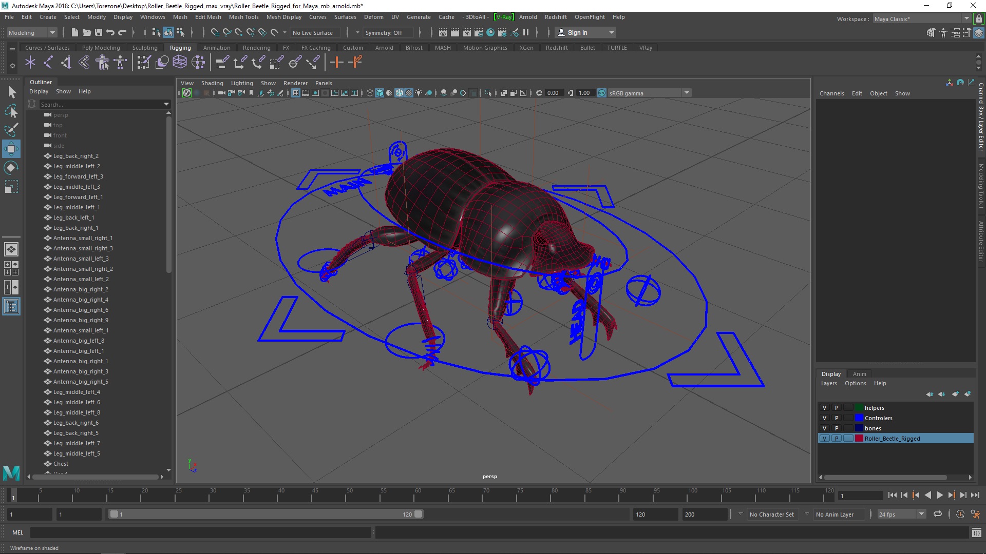 Roller Beetle Rigged for Maya 3D model