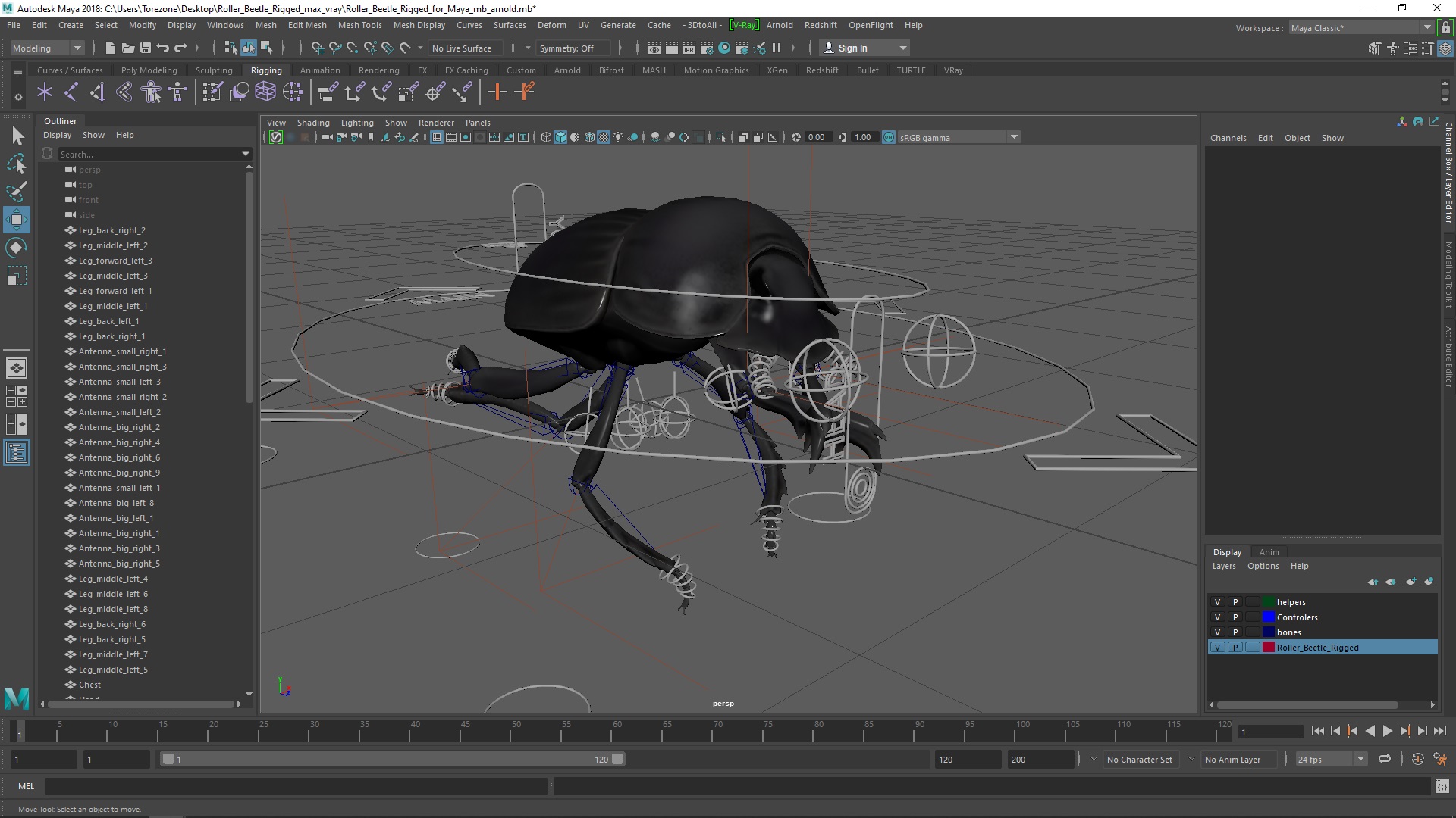 Roller Beetle Rigged for Maya 3D model