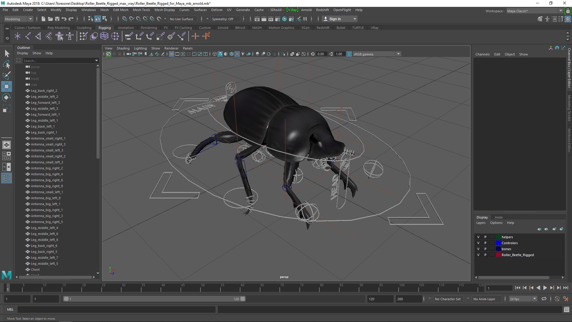 Roller Beetle Rigged for Maya 3D model