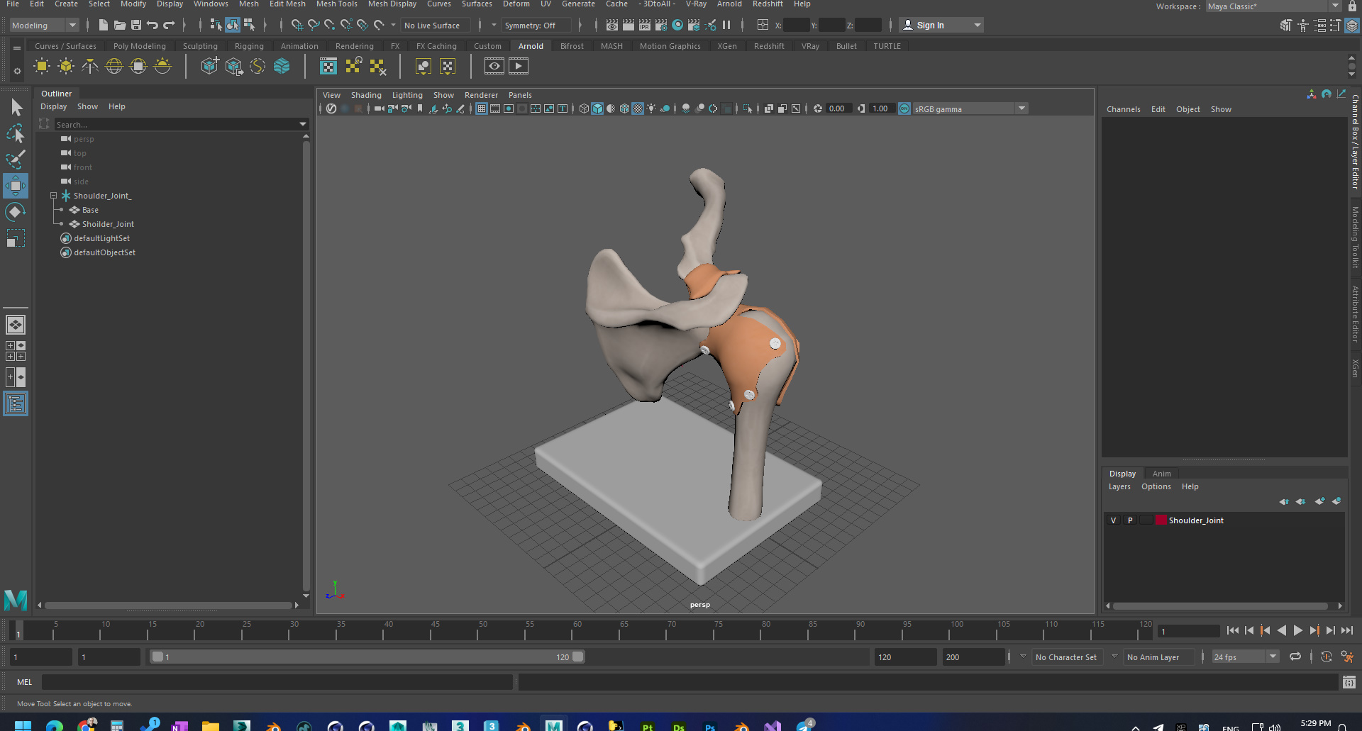 Shoulder Joint 3D model