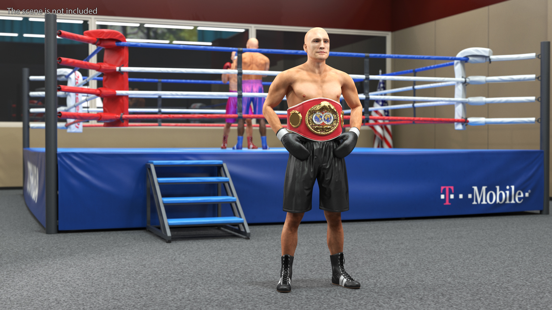 IBF Boxing Champion 3D model