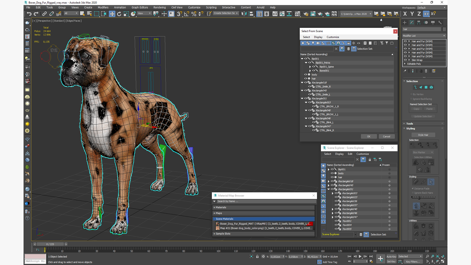 3D model Boxer Dog Fur Rigged