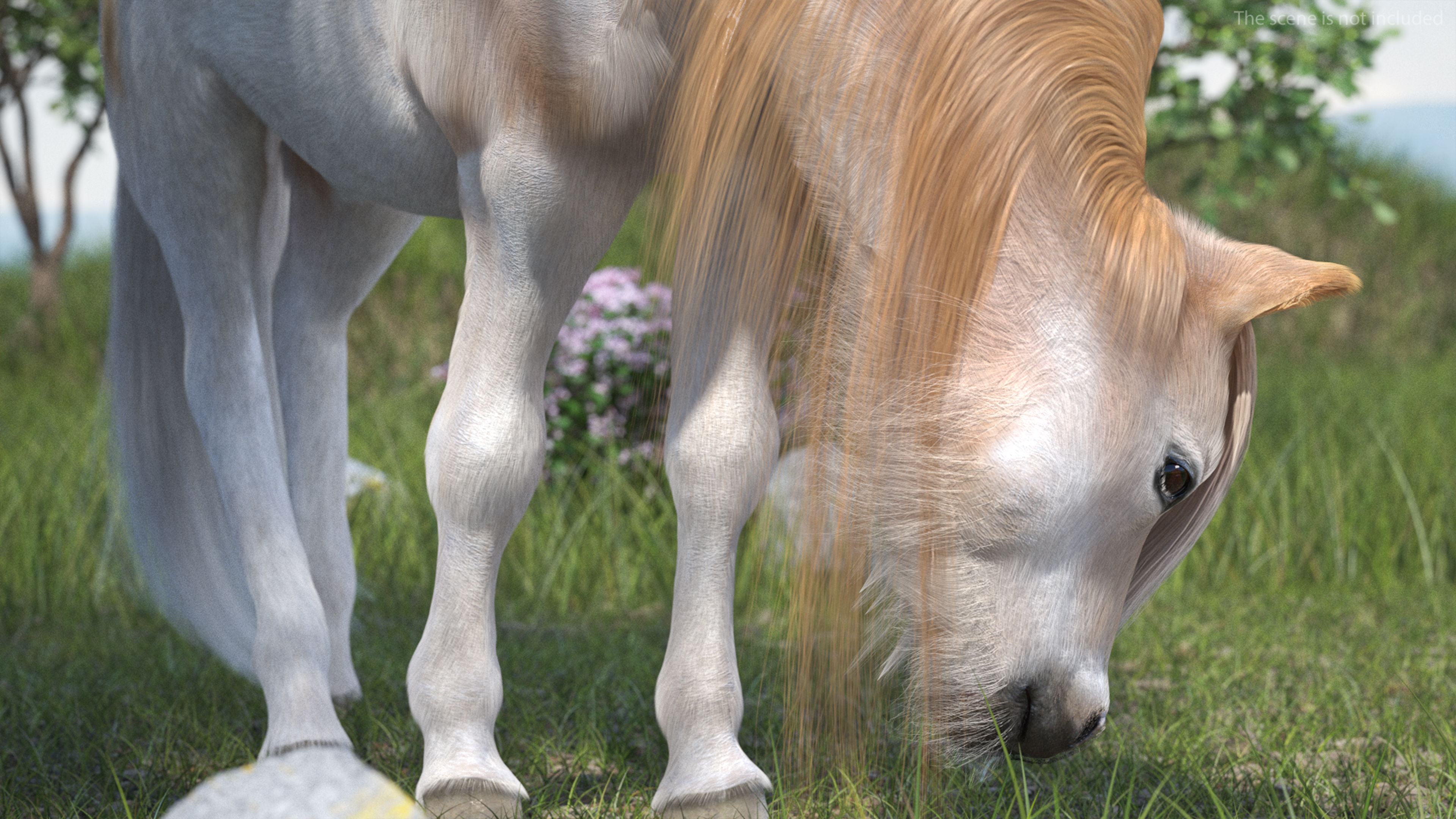 Shetland Pony with Long Mane Fur Rigged 3D model