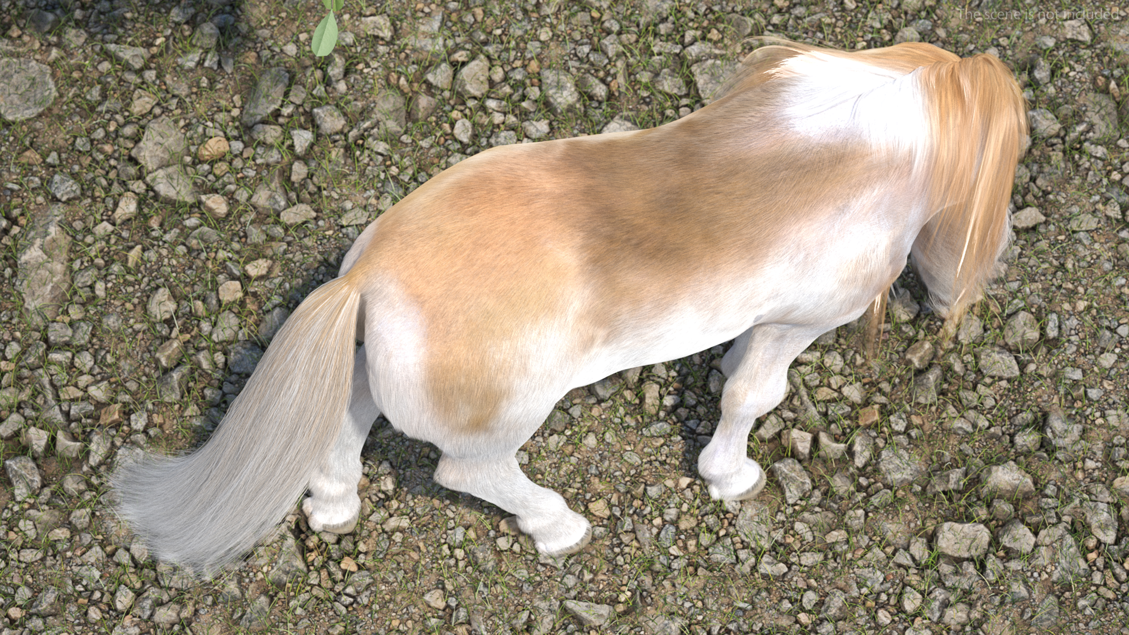 Shetland Pony with Long Mane Fur Rigged 3D model