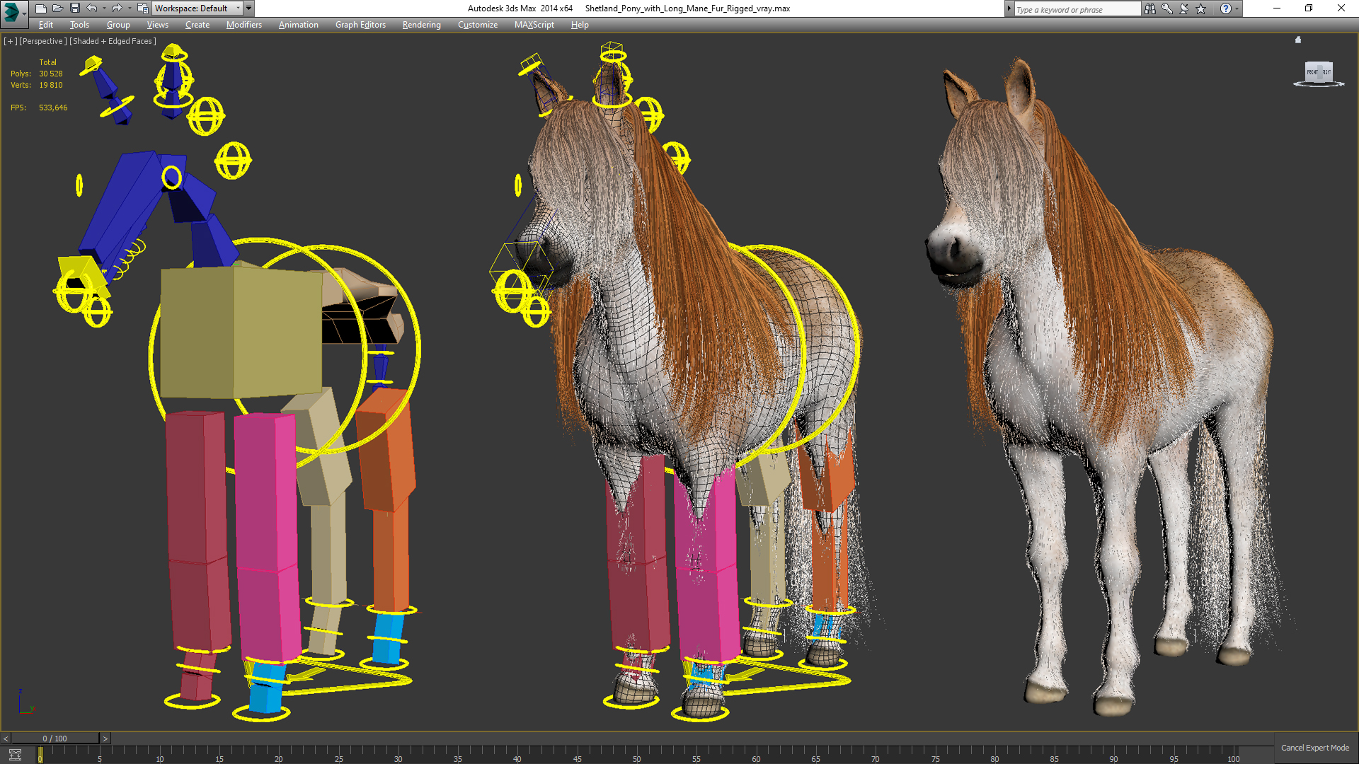 Shetland Pony with Long Mane Fur Rigged 3D model