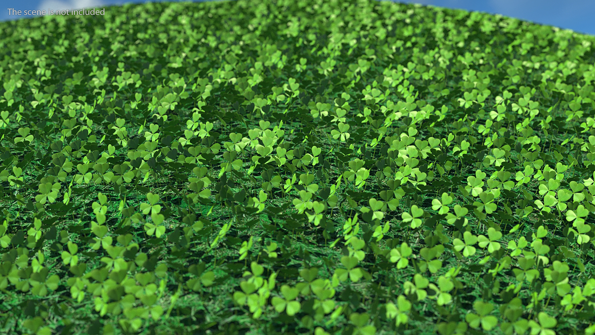 Three Leaf Clover 3D