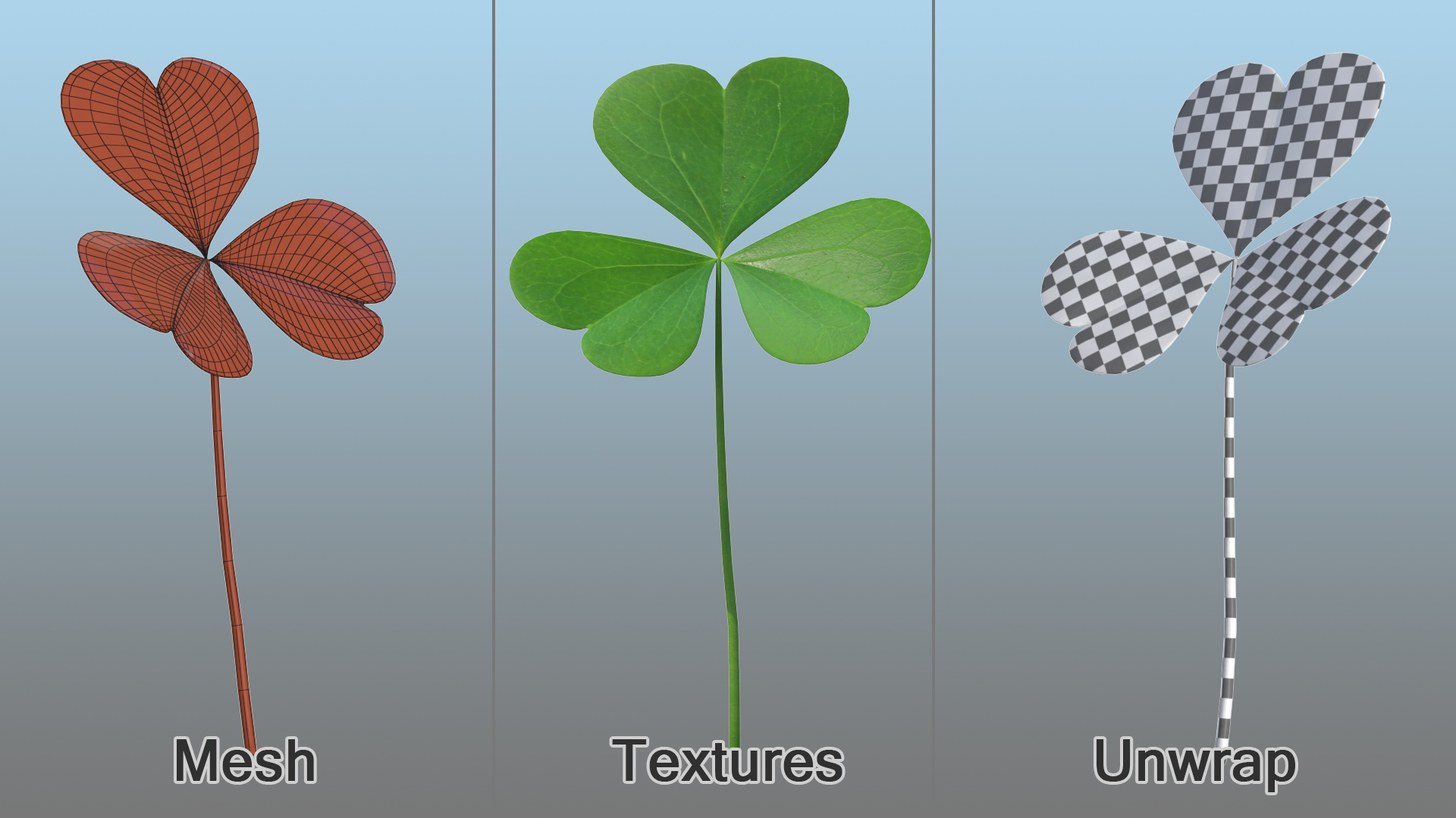 Three Leaf Clover 3D