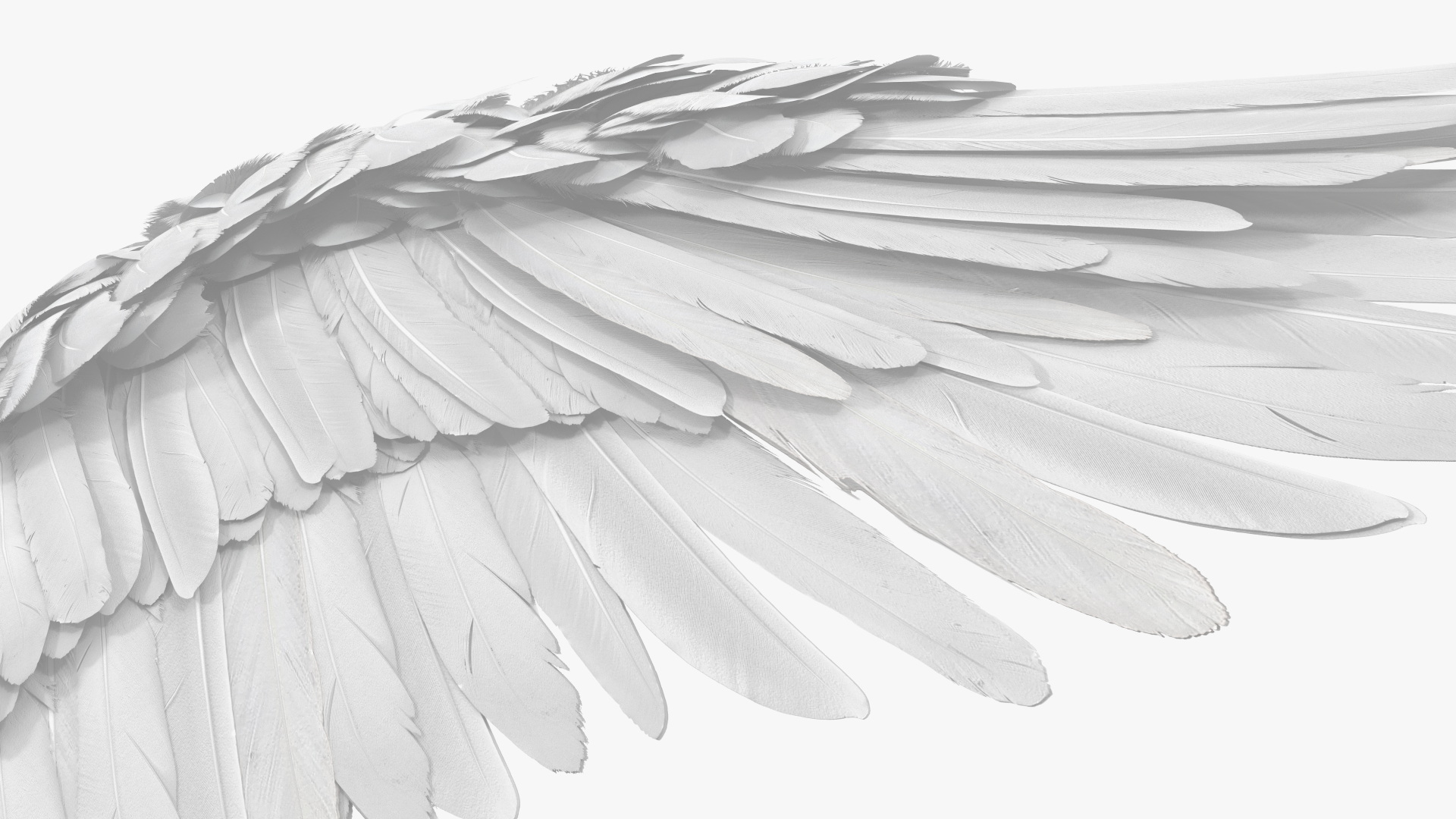 Angel Wings White 3D