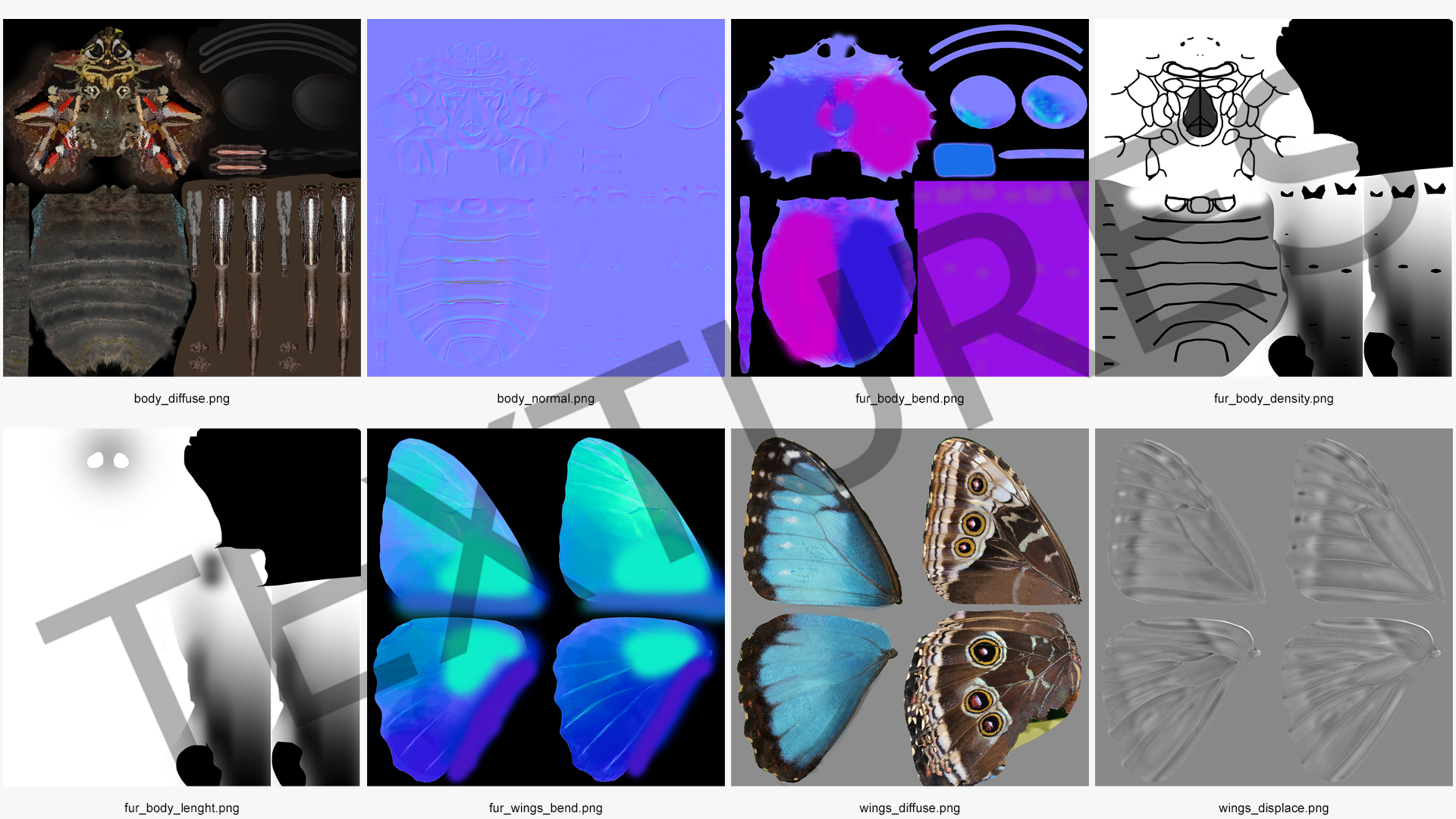 3D Animated Morpho Peleides Butterfly Flies Fur Rigged