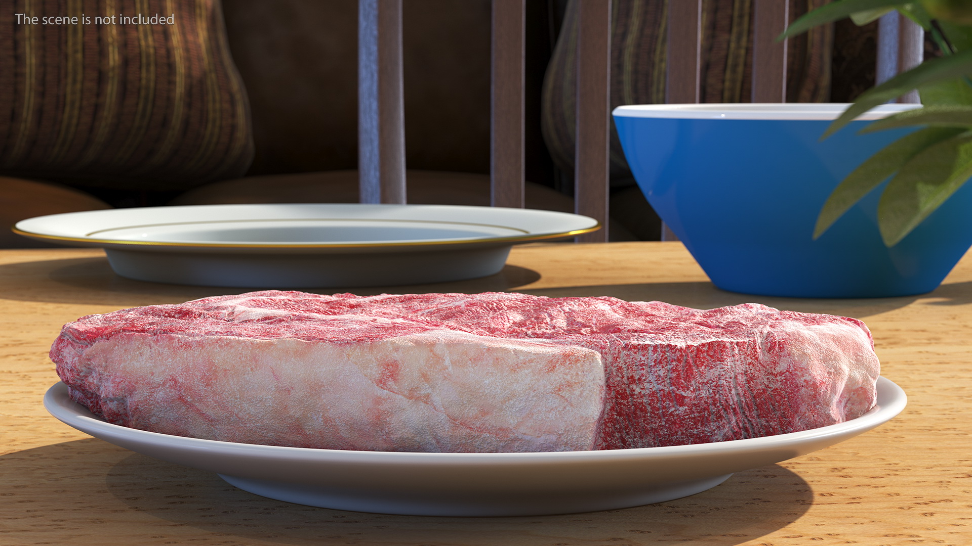 Meat Slice Frozen 3D