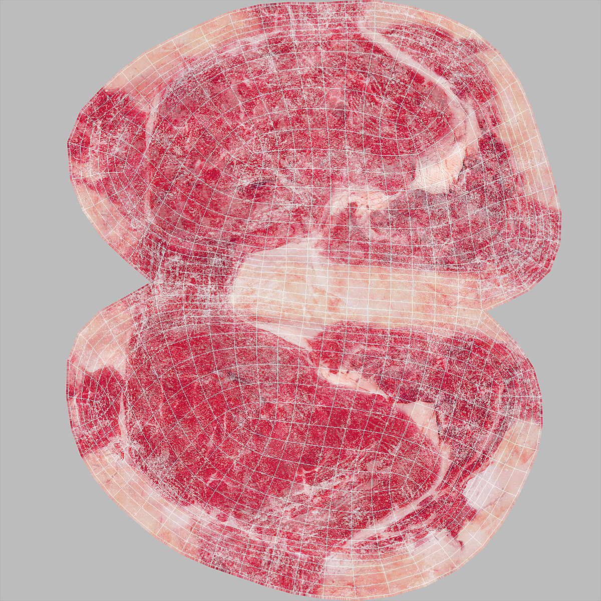 Meat Slice Frozen 3D