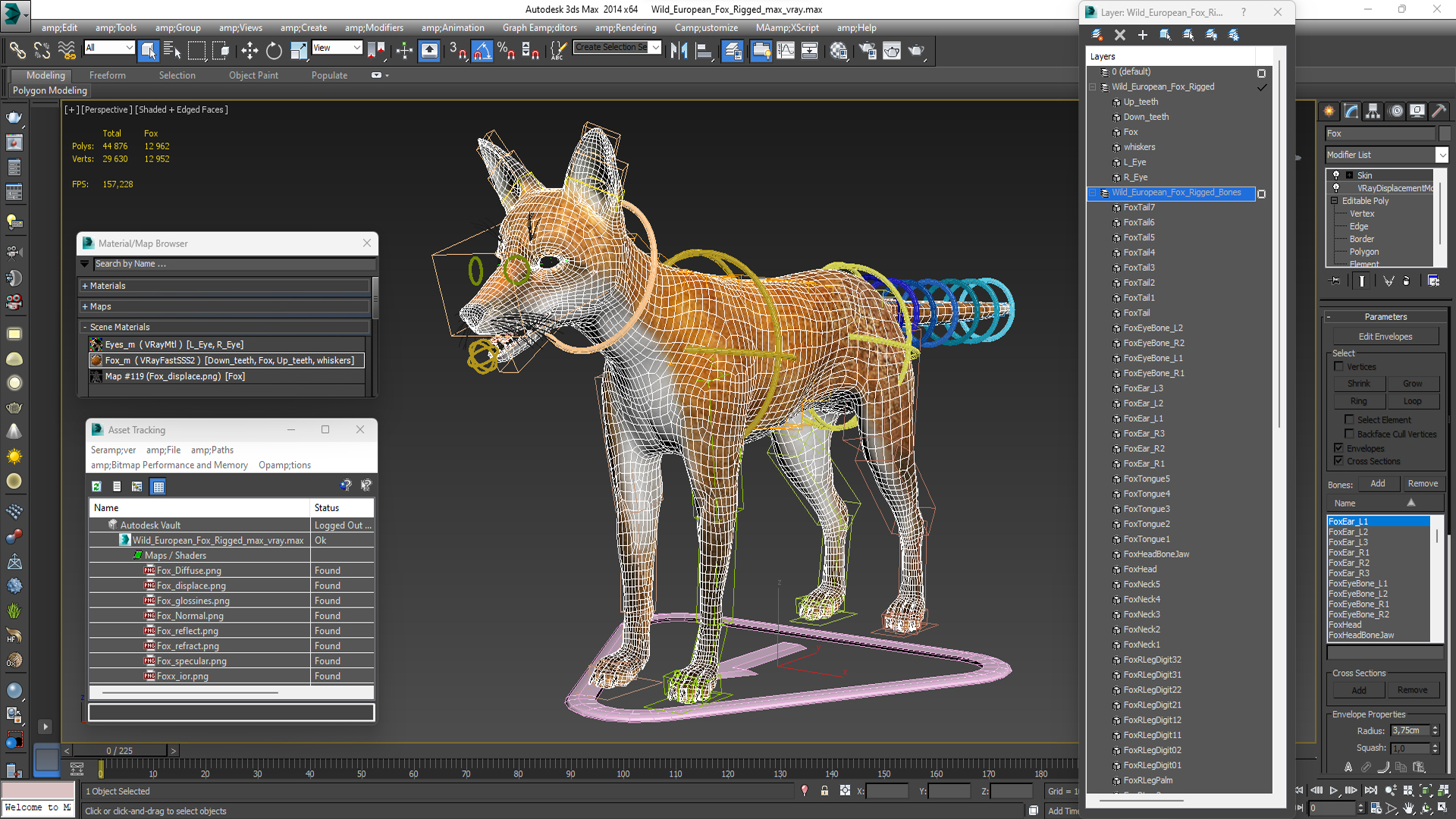 Wild European Fox Rigged 3D model