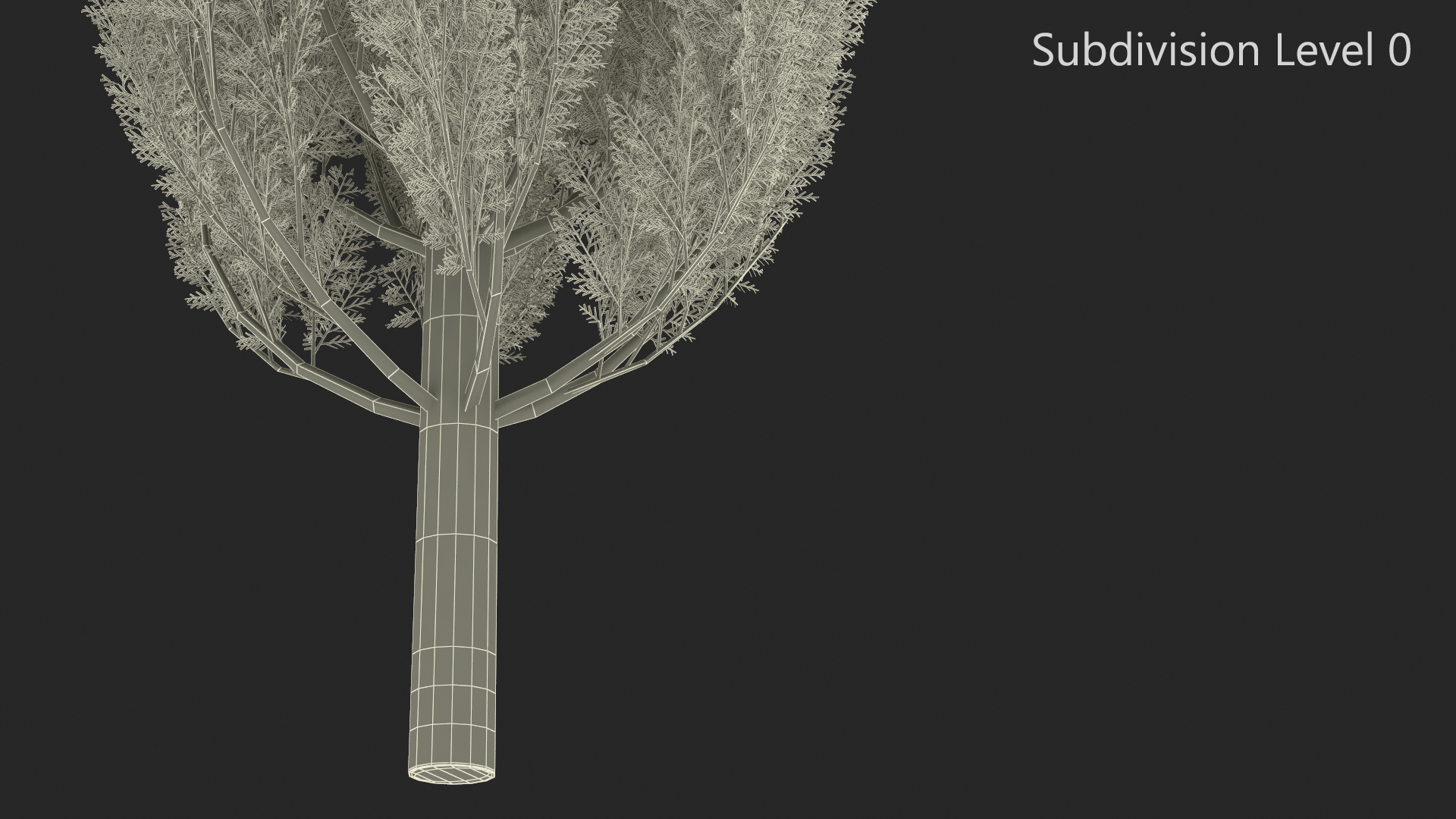 Realistic Cypress Tree 3D