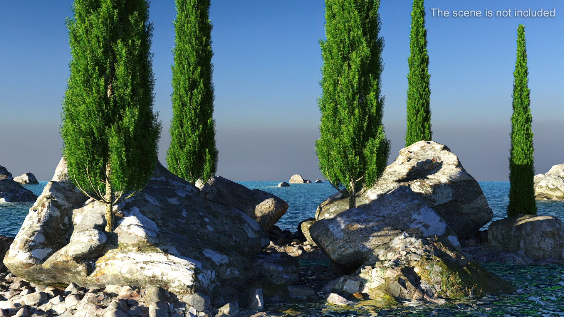 Realistic Cypress Tree 3D