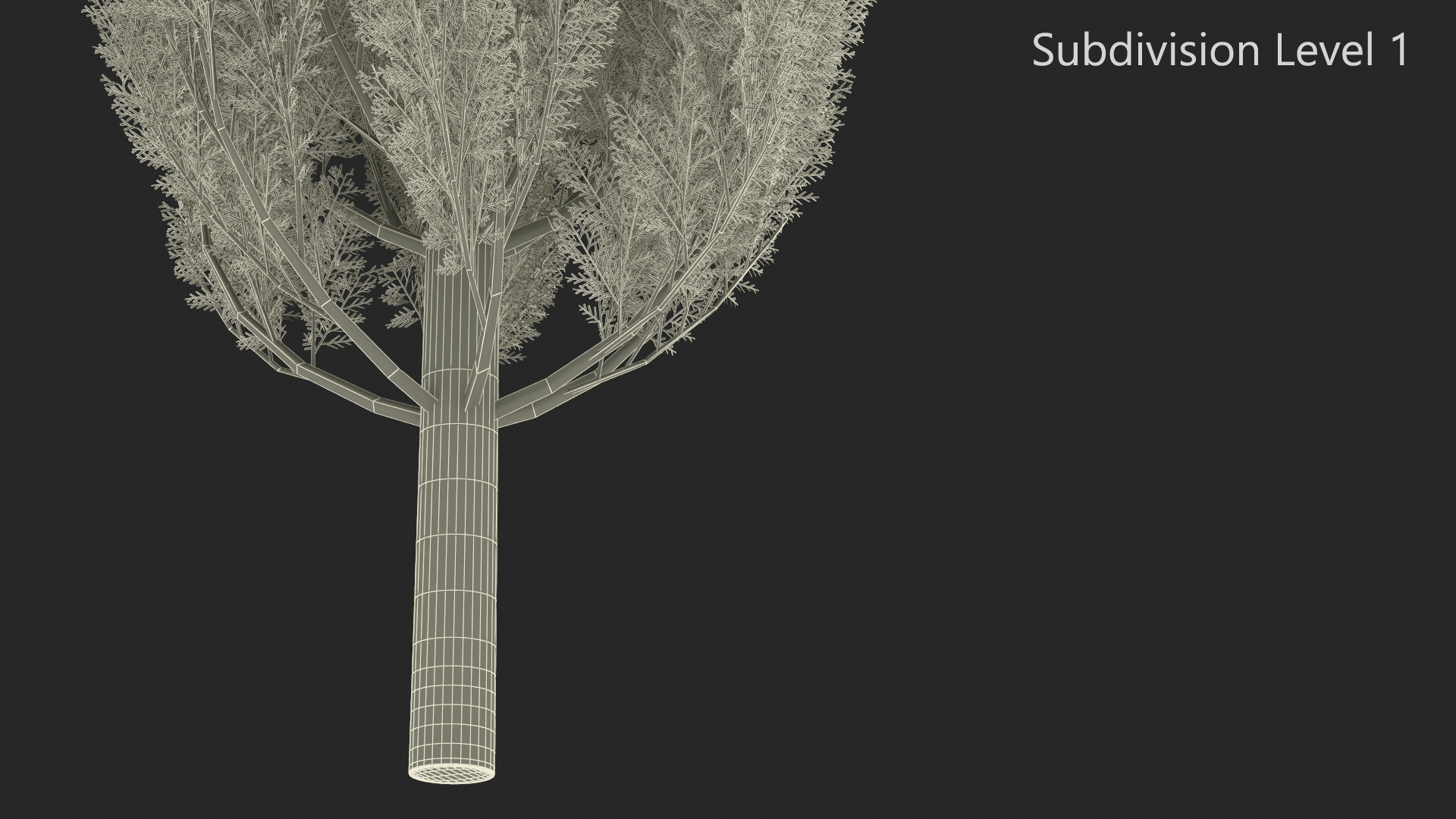 Realistic Cypress Tree 3D