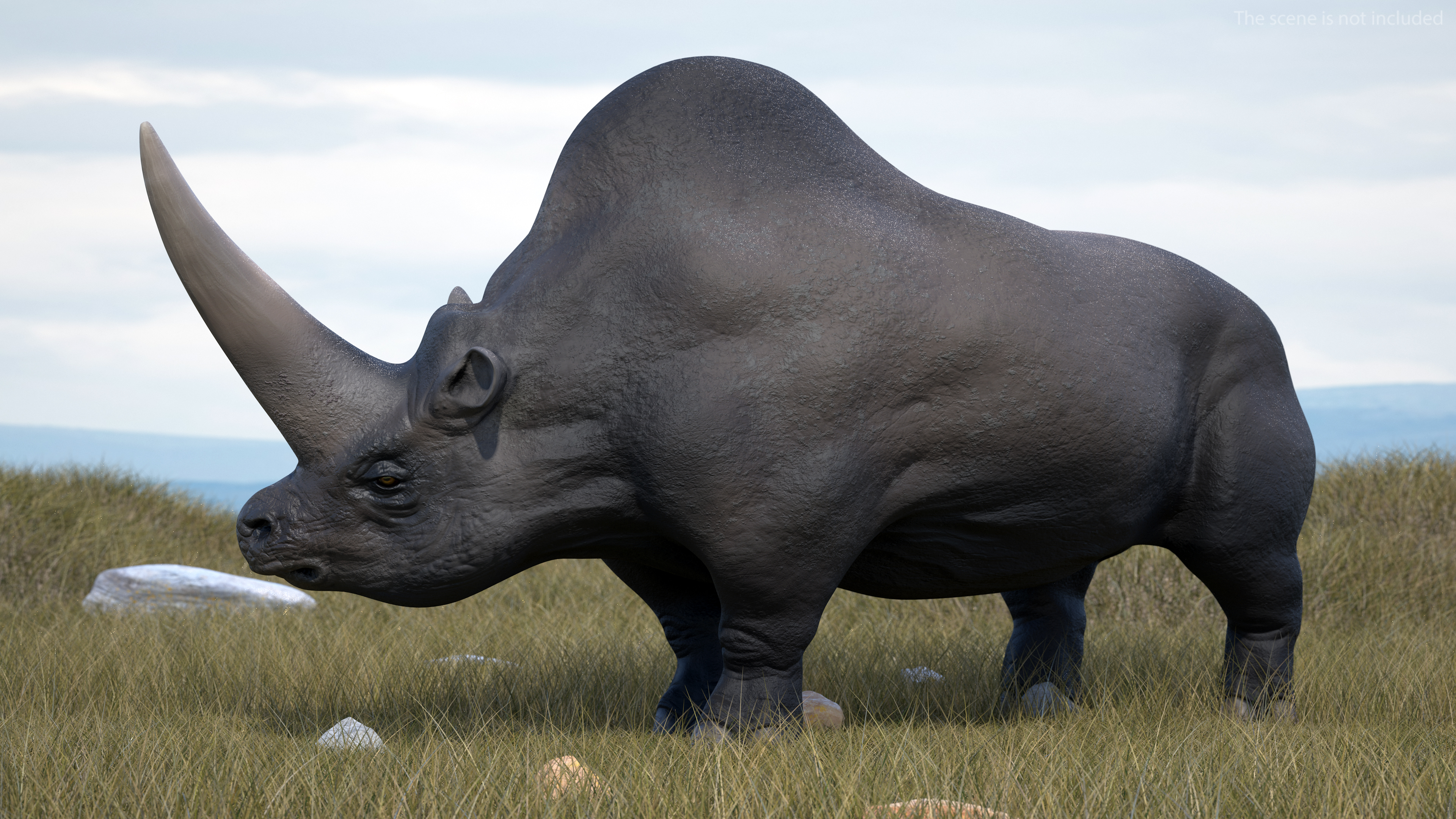 Extinct Giant Rhinoceros Walking Pose 3D