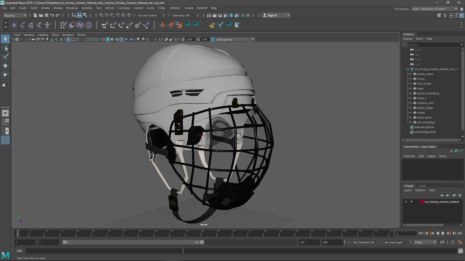 3D Ice Hockey Protective Helmet model