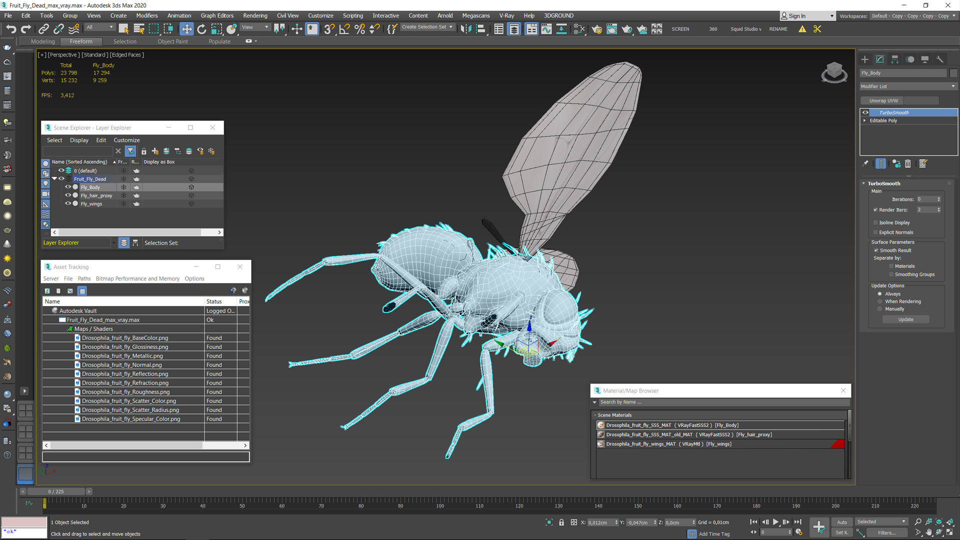 Fruit Fly Dead 3D model