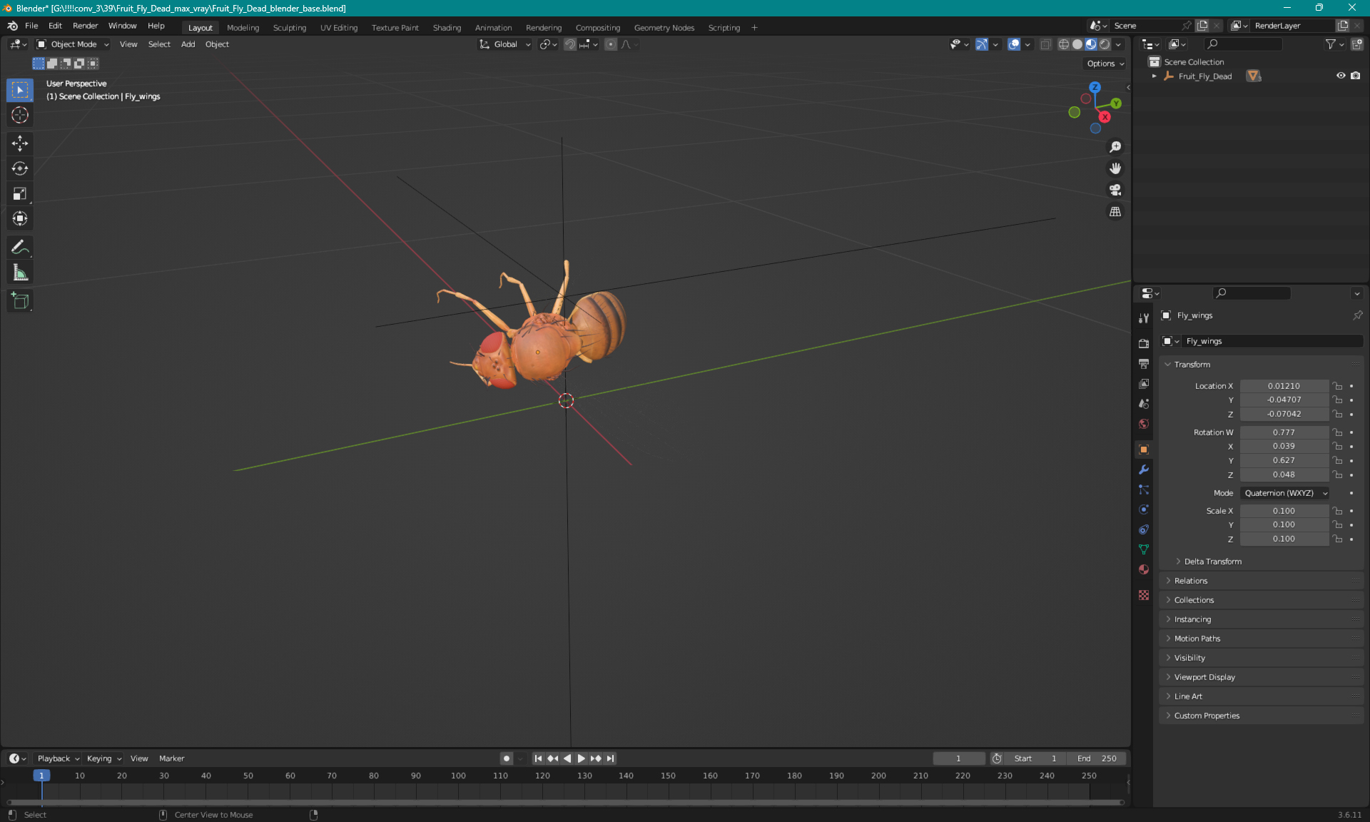 Fruit Fly Dead 3D model