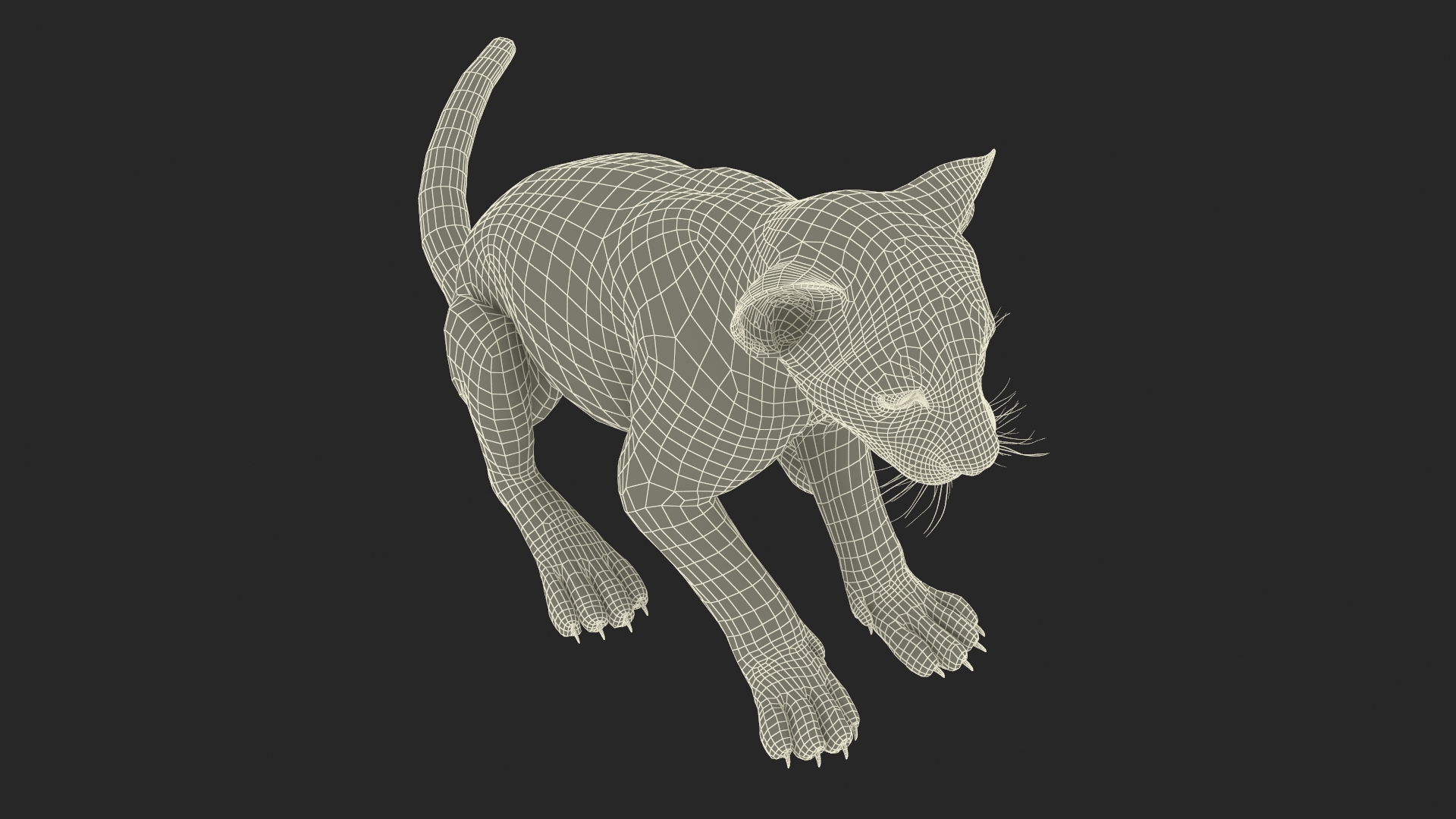 3D model Lion Cub Sitting Fur