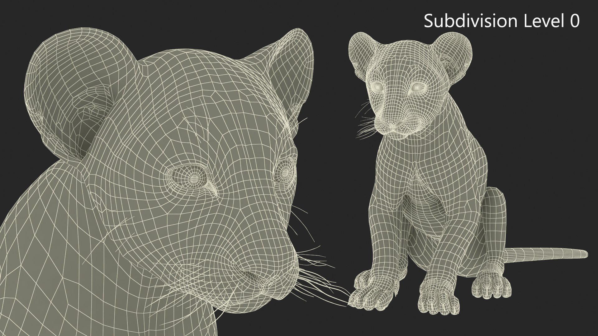 3D model Lion Cub Sitting Fur