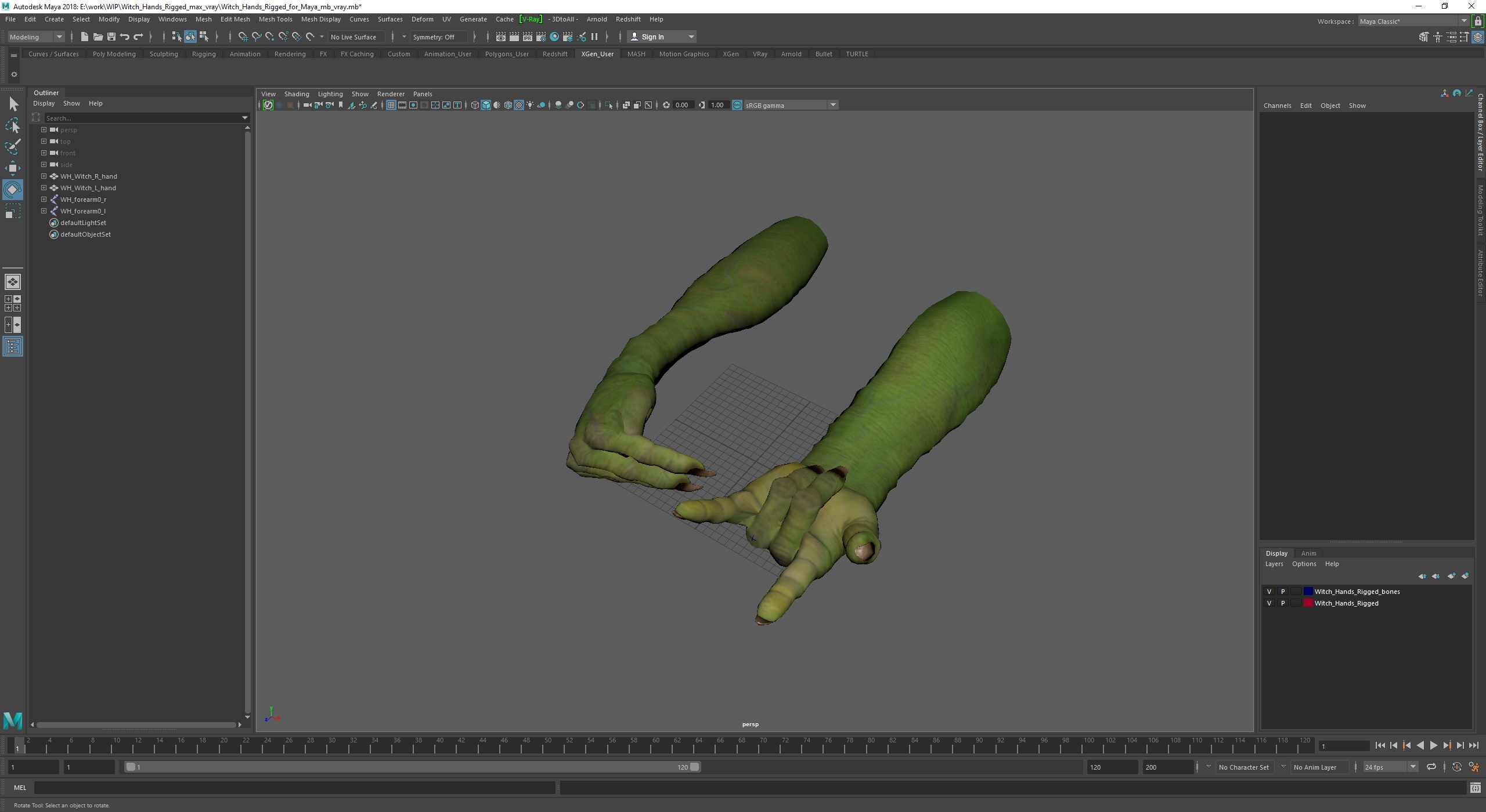 Witch Hands Rigged for Maya 3D