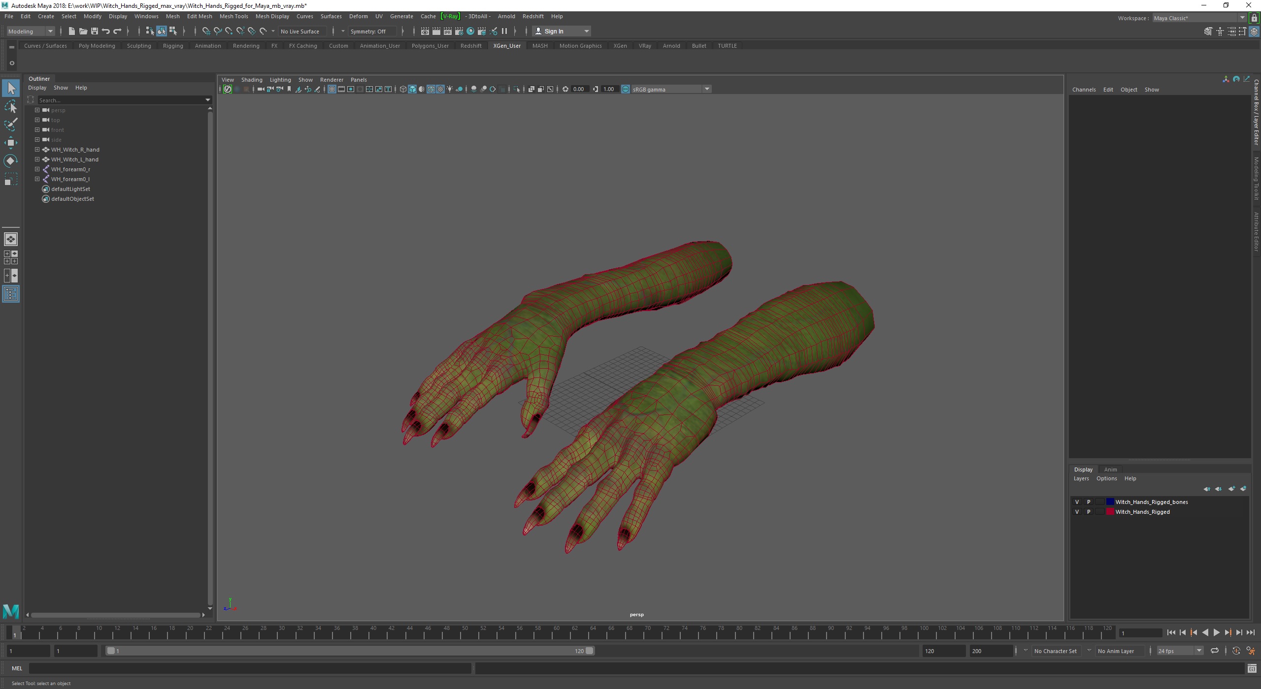 Witch Hands Rigged for Maya 3D