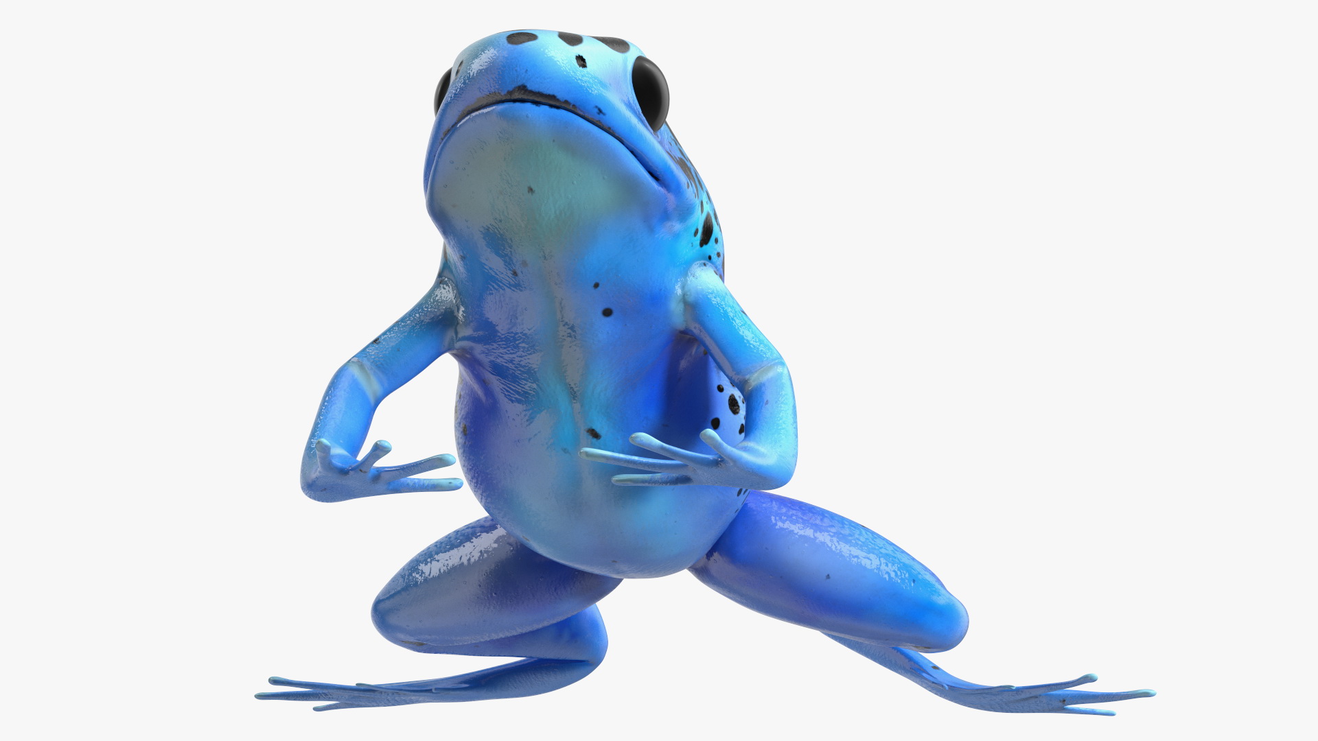 3D model Poison Dart Frog Blue Crawling Pose