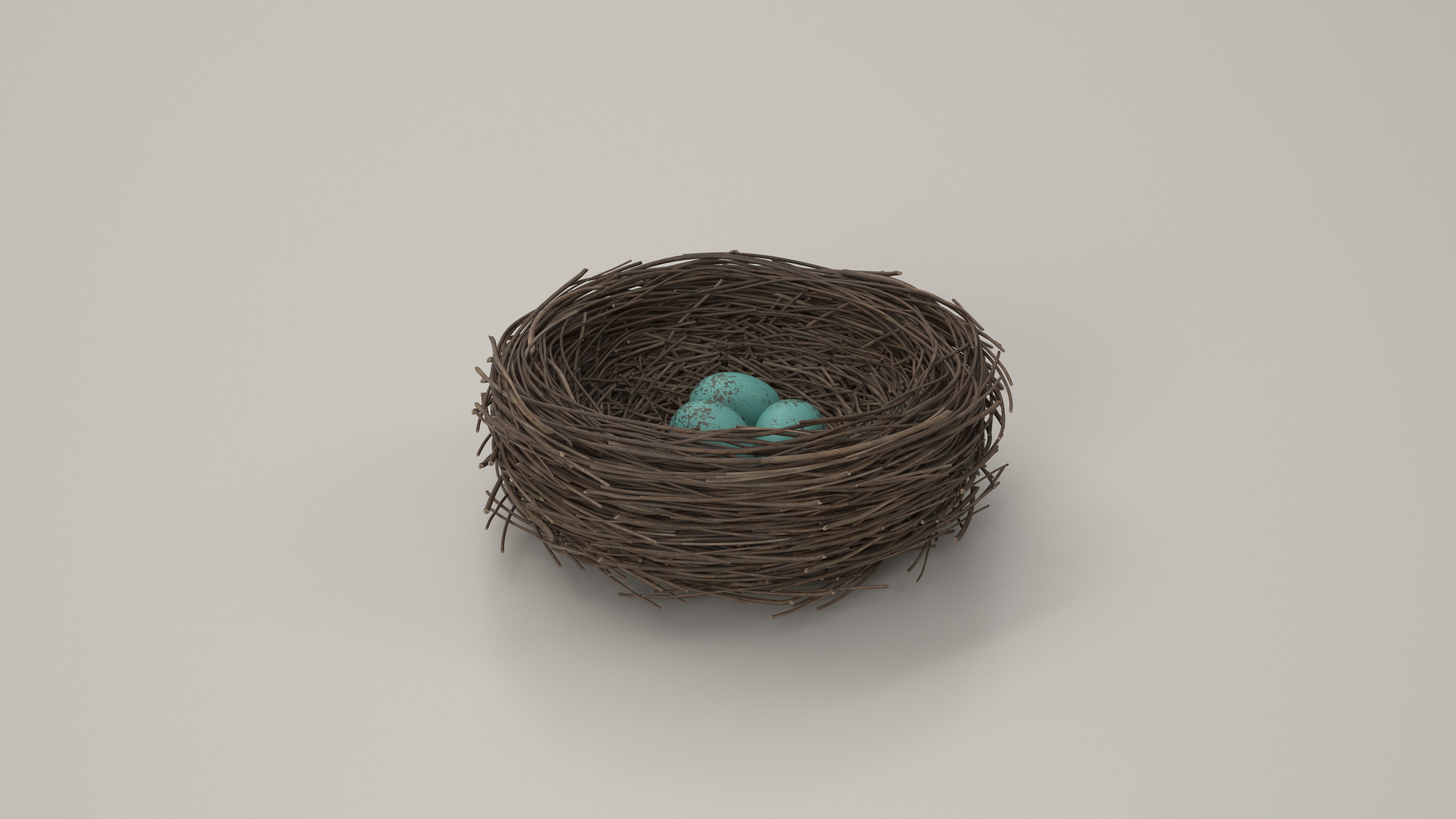 Bird Nest 3D model