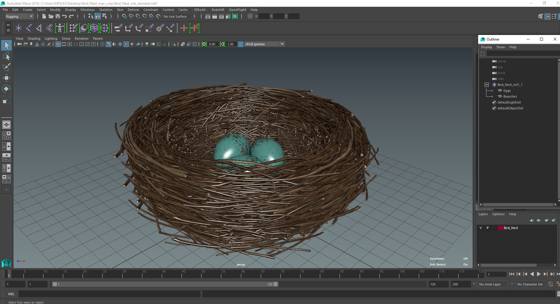 Bird Nest 3D model