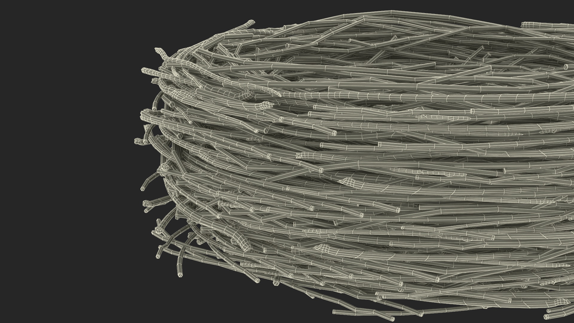 Bird Nest 3D model