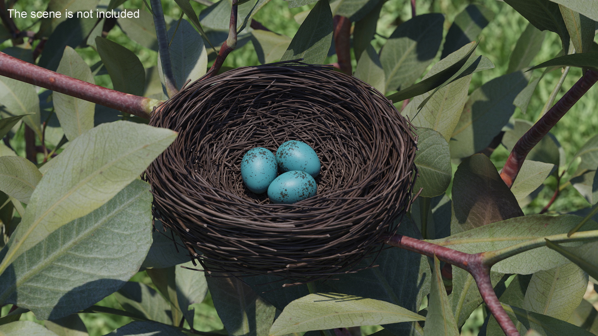 Bird Nest 3D model