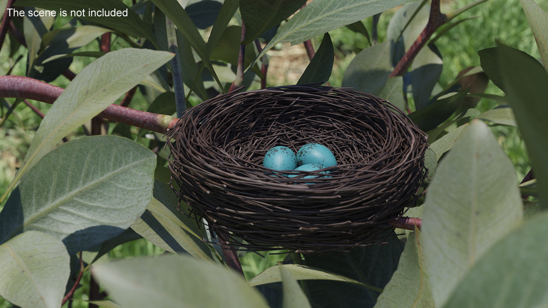 Bird Nest 3D model