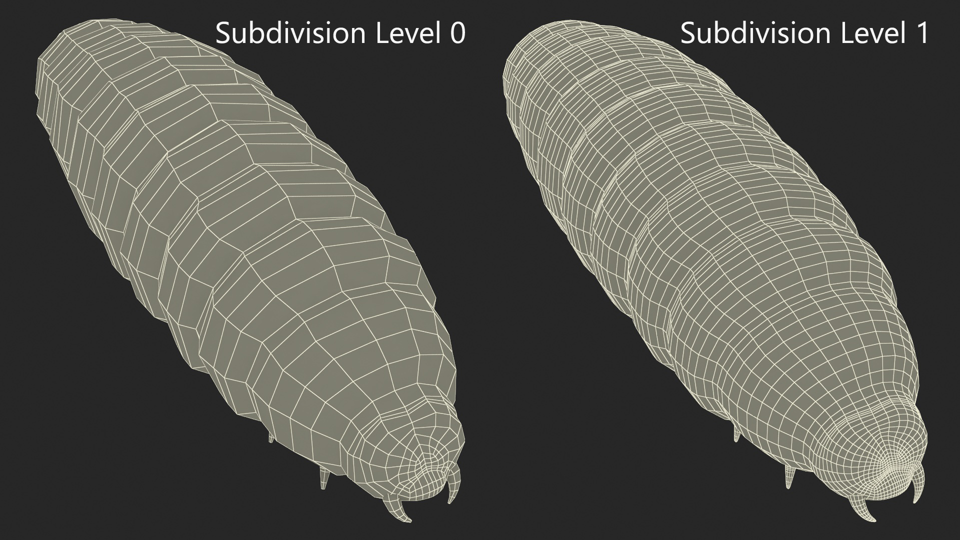 3D model Maggot Fly